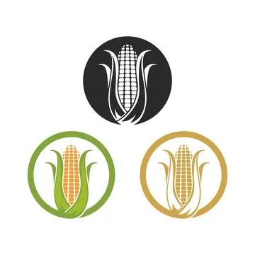 Corn logo illustration vector Stock Illustration