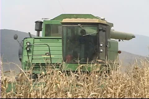 Corn machine 1 動画素材 10973118