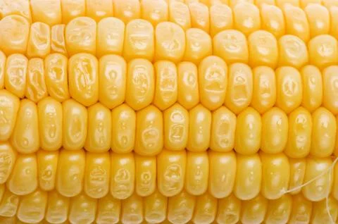 Corn macro Stock Photos