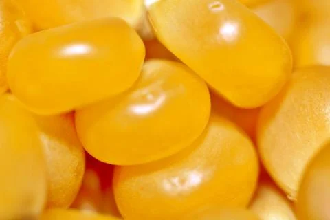 Corn macro Stock-Fotos