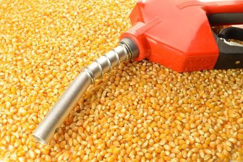Corn Made Biofuel Stock Photos