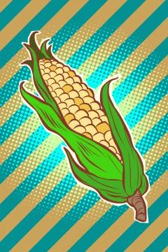 Corn maize cob. appetizing vegetarian product Stock Illustration