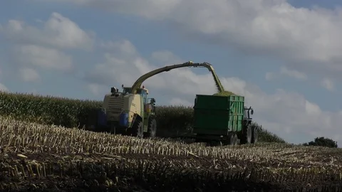 Corn maize harvest farming tractor Stock Footage 74186974