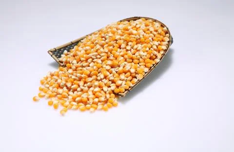 Corn maize Stock Photos