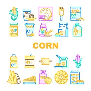 Corn maize sweet plant cob icons set vector 스톡 일러스트