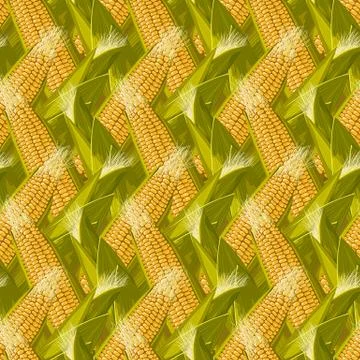 Corn maize vector seamless pattern. Realistic botanical illustration. Illustrazione stock