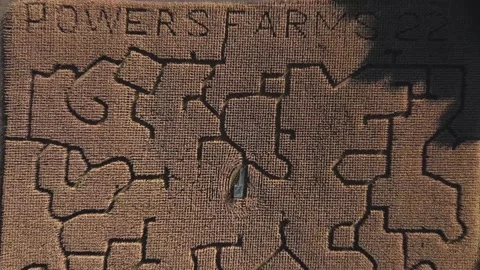 Corn maze during Halloween Fall season in small town in New York State Stock Footage 223454015