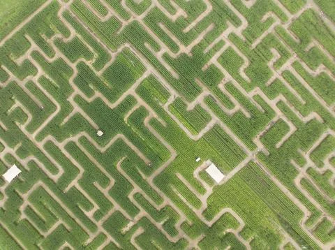 Corn maze labyrinth aerial view with complex paths 스톡 사진