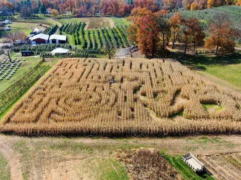 Corn Maze Overhead Drone Shot Stock Photos