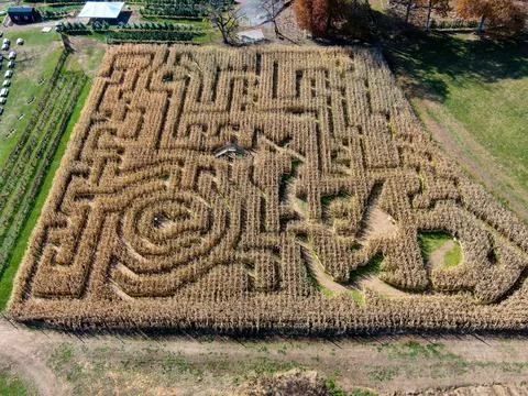 Corn Maze Overhead Drone Shot Stock Photos