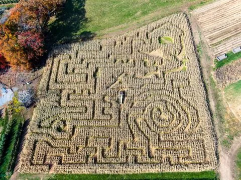 Corn Maze Overhead Drone Shot Stock Photos