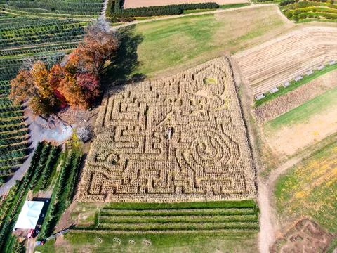 Corn Maze Overhead Drone Shot Stock Photos