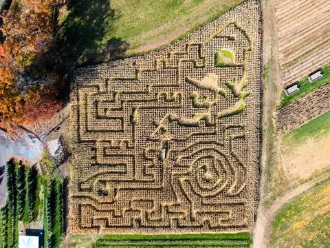 Corn Maze Overhead Drone Shot Stock Photos