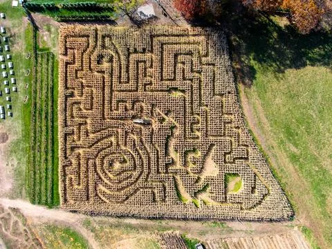 Corn Maze Overhead Drone Shot Stock Photos
