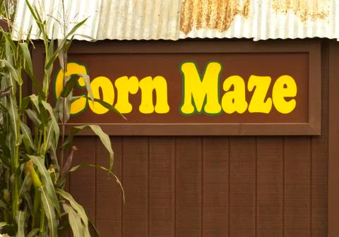 Corn maze 스톡 사진