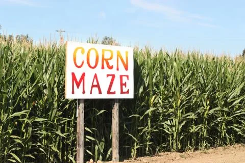 Corn Maze Photos
