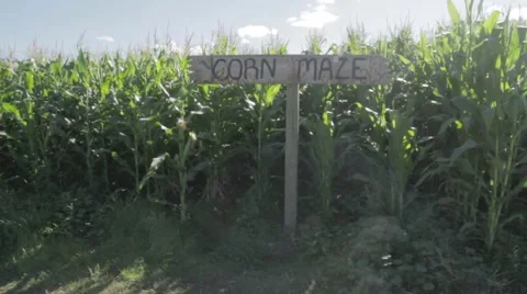 Corn Maze Sign at Pumpkin Patch - Halloween Video stock 42878818