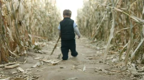 Corn maze trail Vidéo 8949256