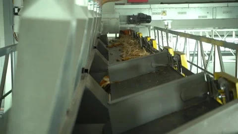 Corn is moving to tape conveyor with compartments HD Slow motion Stock Footage 120391180