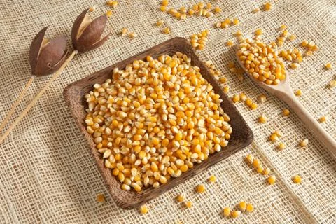 Corn as natural ingredient Stock Photos