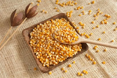 Corn as natural ingredient Stock Photos