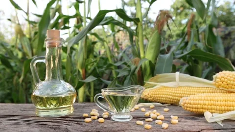 Corn oil on nature. Close-up. Stockbeeldmateriaal 221025347