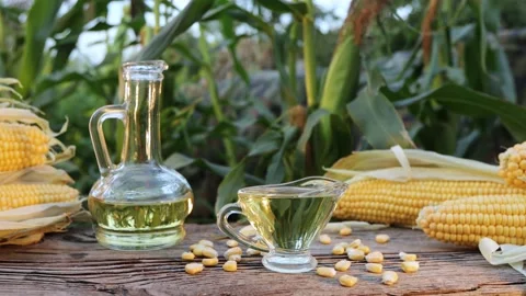 Corn oil on nature. Close-up. Видео 221025425