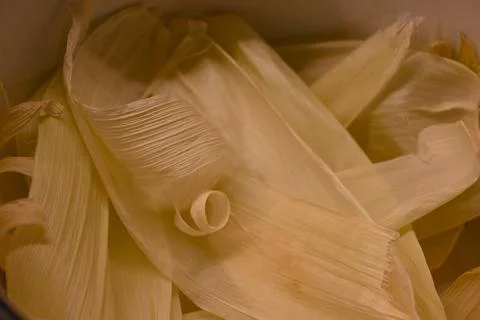 Corn peel close-up Stock Photos