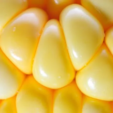  corn Foto stock