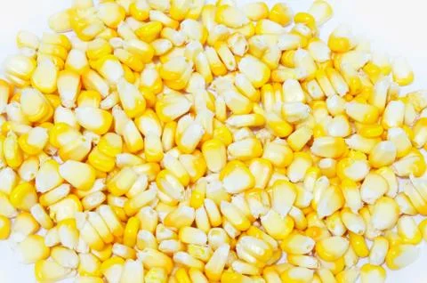 Corn Stock Photos