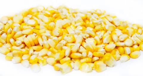 Corn Stock Photos
