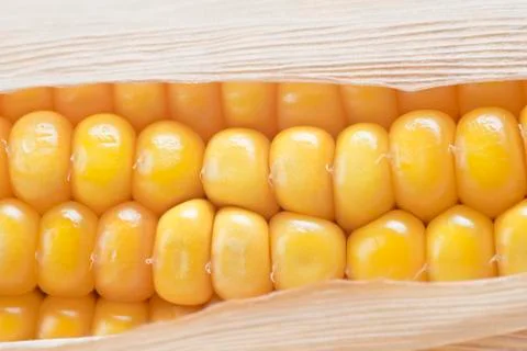 Corn Stock Photos