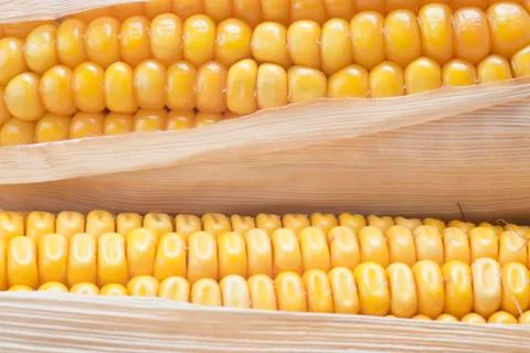 Corn Stock Photos