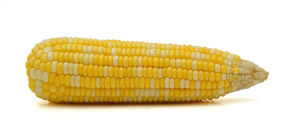 Corn Foto stock