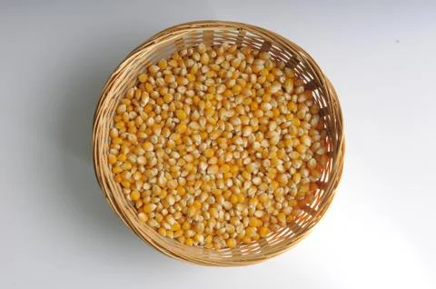 Corn Foto stock