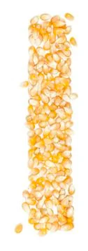 Corn Stock Photos