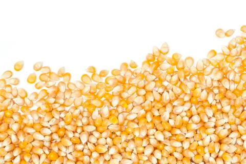 Corn Stock Photos