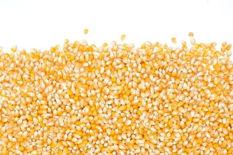 Corn Stock Photos