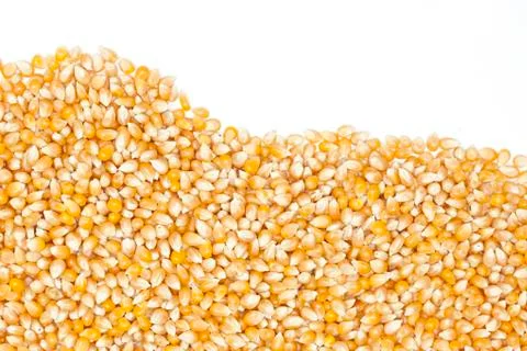 Corn Stock Photos
