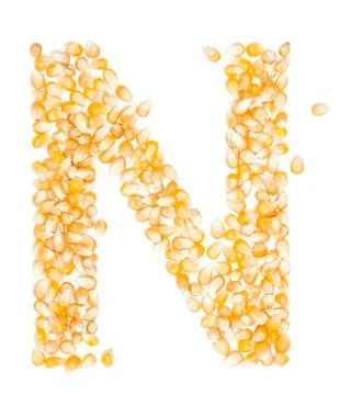 Corn Stock Photos