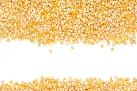 Corn Stock Photos