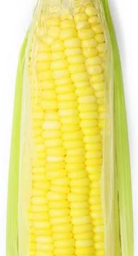Corn Stock Photos