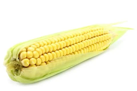 Corn Stock Photos