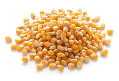 Corn Stock Photos