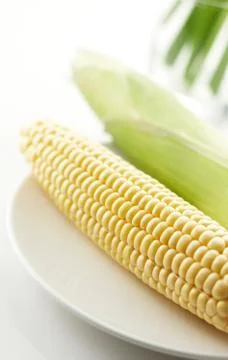 Corn Stock Photos