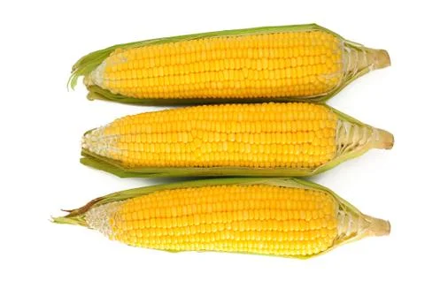 Corn Foto stock