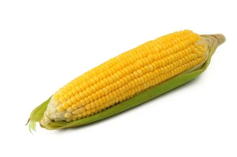 Corn Foto stock
