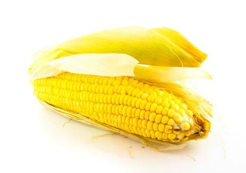 Corn Stock Photos
