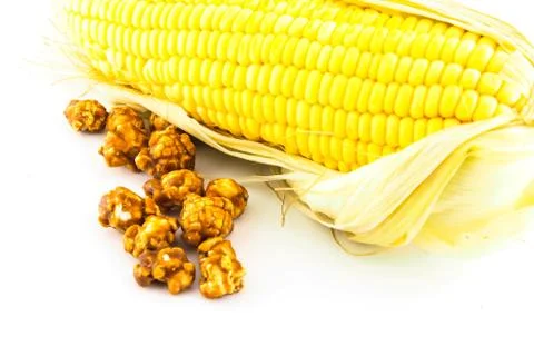Corn Stock Photos