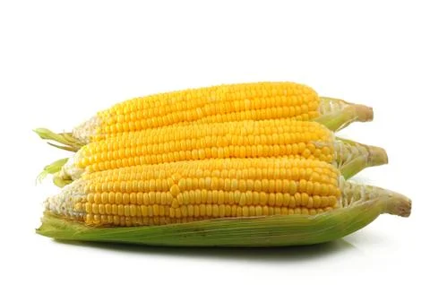 Corn Foto stock